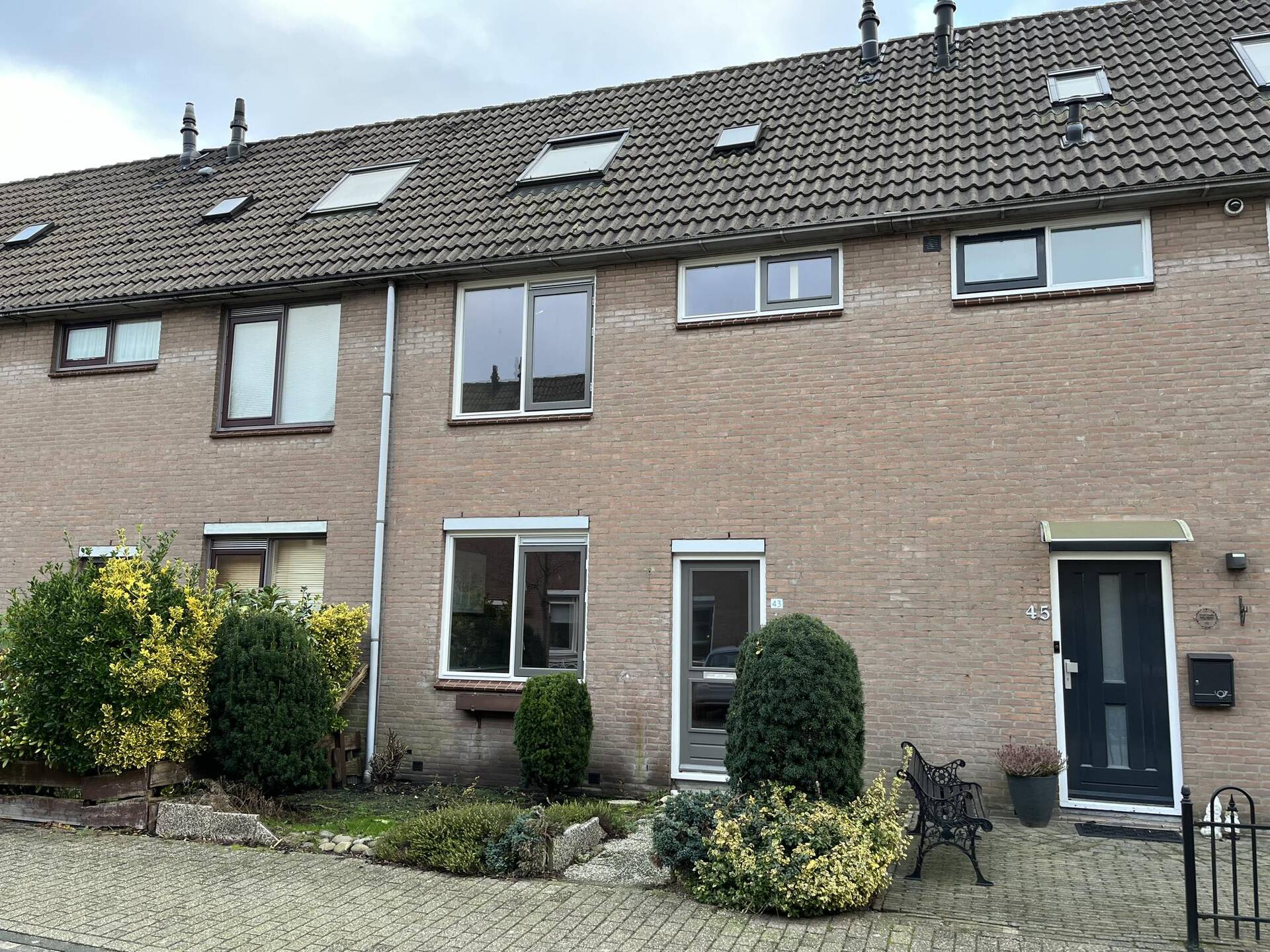 Pinksterbloem 43 PURMEREND