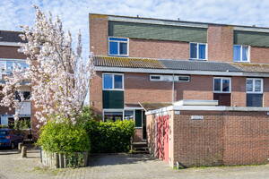 Poolster 129 Hoorn Poolster 129 Hoorn