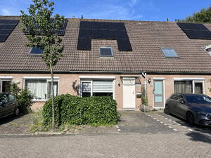 Pinksterbloem 90 PURMEREND Pinksterbloem 90 PURMEREND